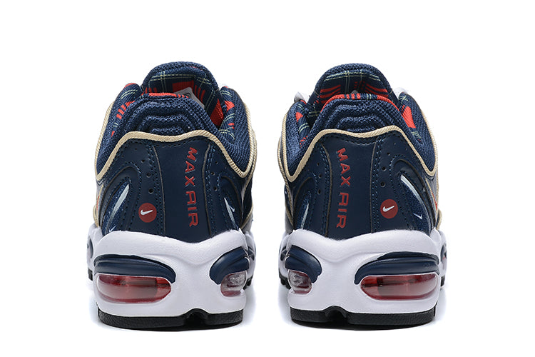 Air Max Tailwind IV "